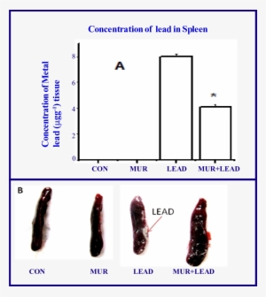 Effect Of Aqueous Extract Of Curry Leaves Against Accumulation - Spectrophotometry
