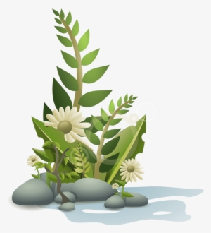 Aquarium Plants Clipart - Plants Clipart