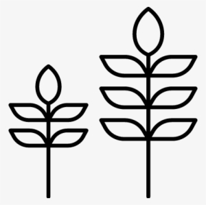Two Plants Vector - Ecology