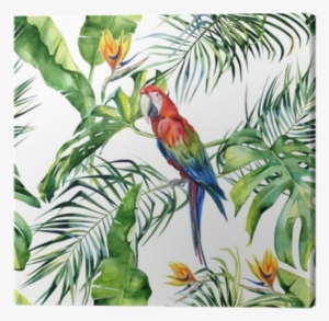 Strelitzia Reginae Flower - Simply Tropical White Gold Sands Stripes And Palm ...