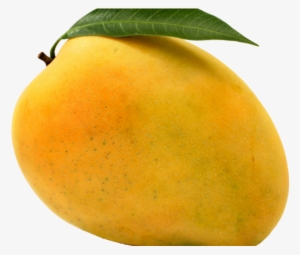 Mango Png Transparent Images - Clipart Pictures Mango