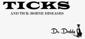 Ticks And Tick-borne Diseases In Dogs - Kimiko Itoh: Tsugaru Ben Jazz Jazz Dabe Jazz Dasa (jpn)