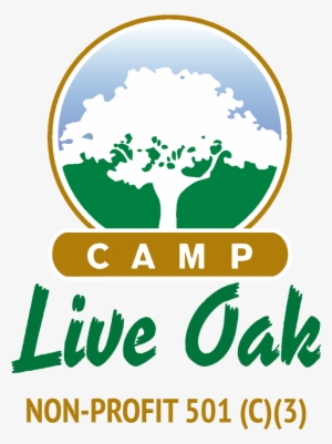 Amazing Outdoor Summer Camp Located In Fort Lauderdale - Camp Live Oak