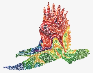 Bald Eagle Golden Eagle Black And White Hawk Eagle - Eagle