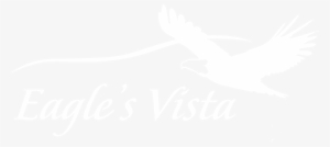 Eagle's Vista - Vintage Spirographs: Classic Coloring Books [book]