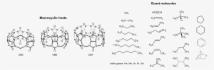 , (iii) Ion Dipole Interactions With The Carbonyl Laced - Cb6 Cucurbituril