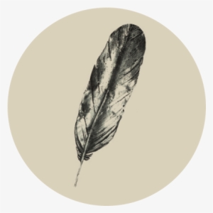 Neustadt Feather - Feather