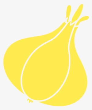 Garlic - Illustration