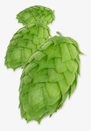 Mosaic® Pellet Hops - Common Hop