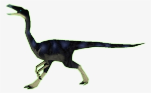 Add Media Report Rss Pelecanemimus Noctis - Media