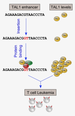 160321 Mute Summary - Promoter Sequence