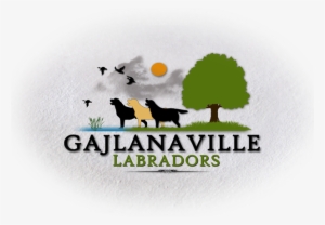 Advertismentdd Mm Yyyy - English Foxhound