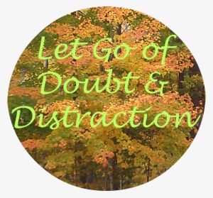 Let Go Of Doubt Distraction - Mort Aux Vaches