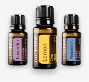 Natures Most Powerful Elements - Doterra Spearmint Essential Oil 15 Ml