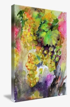 I Want To Give A Shout-out To