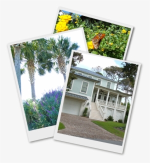 About Us - Lawn