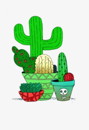Find This Pin And More On Png By Agustinaarana23 - Overlays Transparent Tumblr Cactus