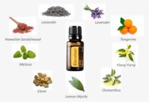 The Most Common Way That I Use This Oil Is In A Diffuser - Doterra Essential Oils - Lavender 15ml