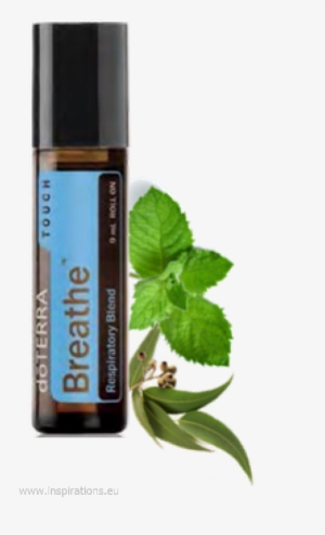 Doterra Breathe Touch Roller Bottle Pre Diluted - Doterra Easy Air Touch