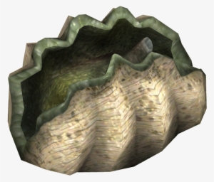 Giant Clam - Wiki