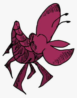 Butterfly Clam Shellfish Oyster Mussel - Shellfish Clipart