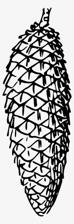 1 Cone - Pinecone Black And White Clipart