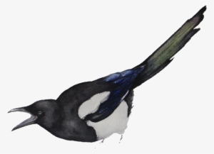 Free International Shipping To All Over The World - Watercolor Painting