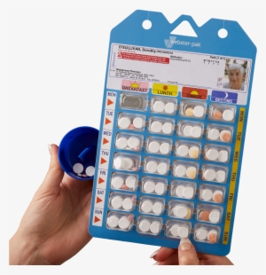 <<back - Webster Pak