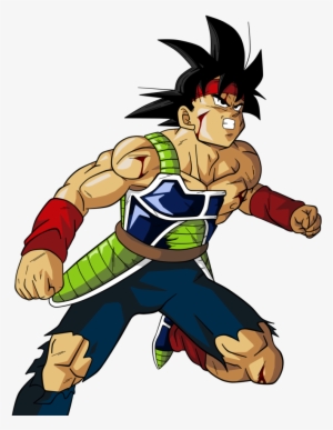 Bardock Damaged