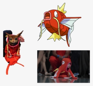 1 Yr - Magikarp No Background