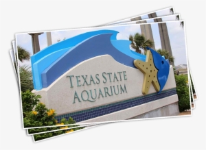 Texas State Aquarium - Texas State Aquarium Corpus Christi