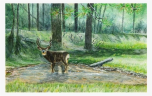 Bear Trap Canyon - Ox