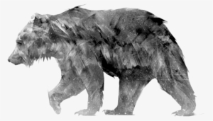 Animus - Grizzly Bear
