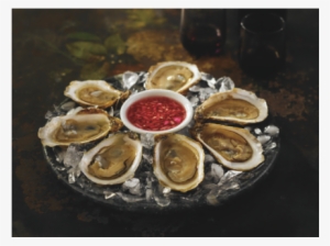 7 Oysters On The Half Shell On An Ice Filled Platter - Tiostrea Chilensis