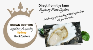 Crown Oysters