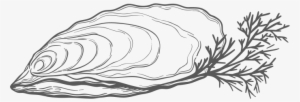 If Oysters Are So Great For The World, Why Do We Eat - Portable Network Graphics