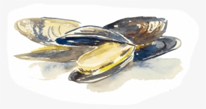Best Fresh Oysters Seafood - Illustration