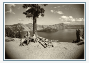 Items 1 To 50 Of 88 Total - Crater Lake National Park