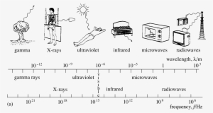Figure - Em Spectrum Black And White