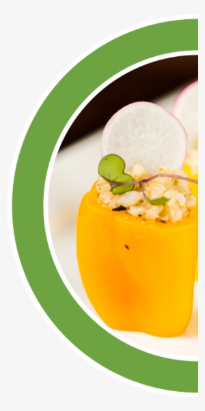 Carrying Vegan To School - Veganism