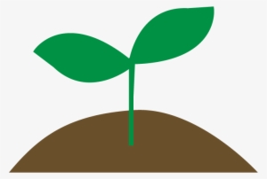 Sprout - Sprout Png