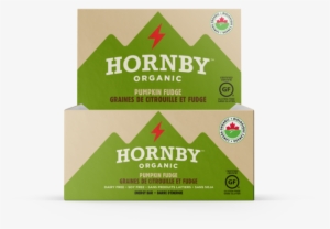 Pumpkin Fudge Energy Bar - Hornby Magazine Yearbook. No. 8