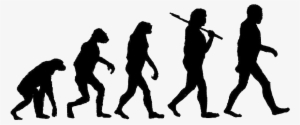 Back In The Dark Days Of Waterfall Projects We Invested - Evolution Of Man Jpg