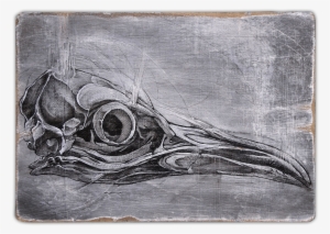 Evolution Serie - Horror