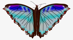 Mariposa 2