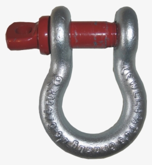Shackle - Hook