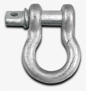 3/4" D-ring / Shackles - D-ring