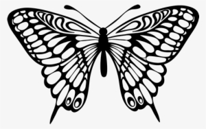 Mariposas A Blanco Y Negro