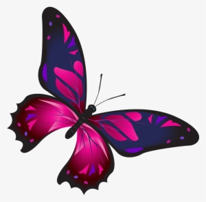 Borboletas Coloridas