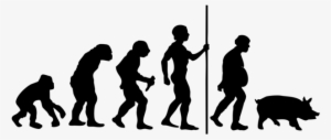 Men-evolution
